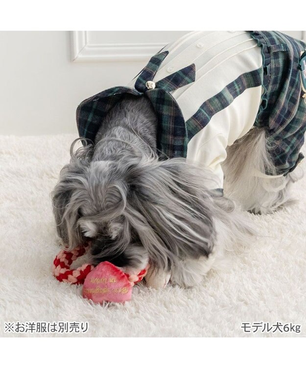 PET PARADISE ディズニー わんわん物語 ハート編み ロープトイ レッド