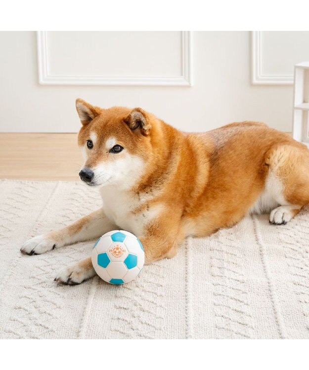 PET PARADISE ペットパラダイス サッカーボール 大 ホワイト