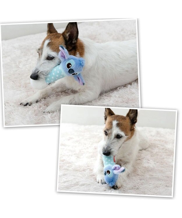 PET PARADISE ディズニー スティッチ ダンベル トイ ライトブルー