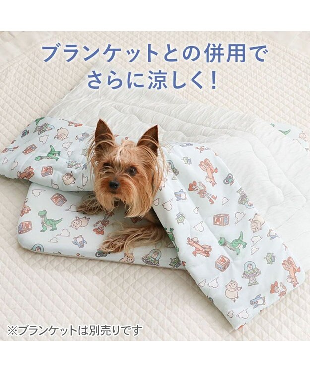 PET PARADISE ディズニー トイ・ストーリー もちっと クール マット Ｓ  《総柄》 ライトブルー
