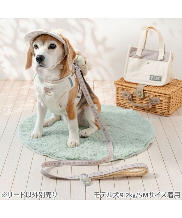 PET PARADISE ペットパラダイス くまチャームリード ＳＭ ベージュ