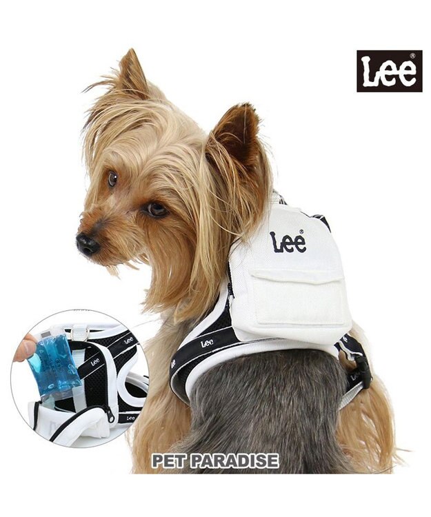 PET PARADISE Lee  ポケット付きハーネス ＳＳ~Ｓ 小型犬 -