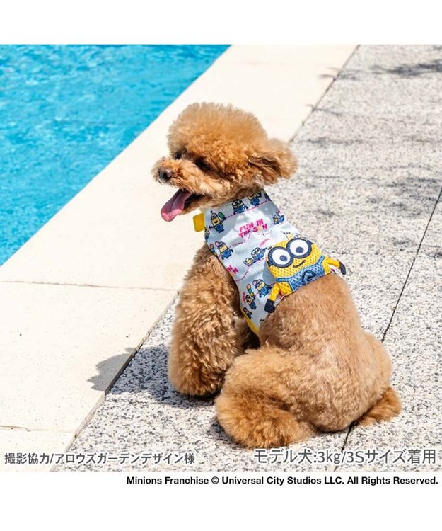 PET PARADISE ミニオン クールベスト 《アイス柄》 小型犬 ライトブルー