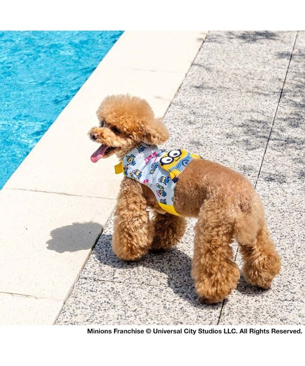 PET PARADISE ミニオン クールベスト 《アイス柄》 小型犬 ライトブルー