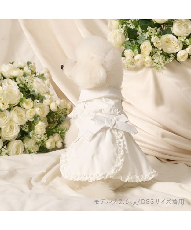 PET PARADISE cherircouture フリフリ トレンチコート 小型犬 オフホワイト