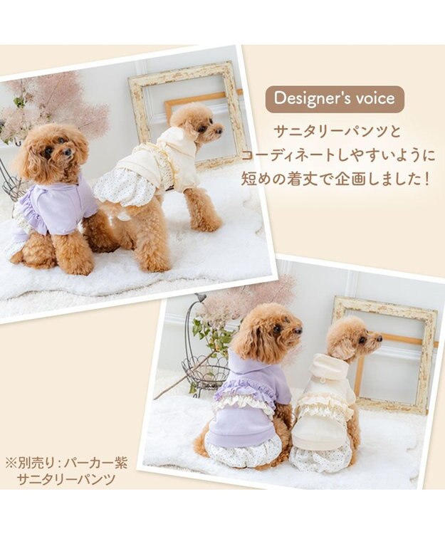 PET PARADISE ペットパラダイス ドット柄 フード付パーカー 《ホワイト》 小型犬 ホワイト