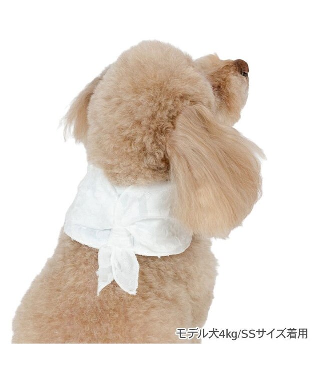PET PARADISE ペットパラダイス クールバンダナ 《花柄》 小型犬 ホワイト