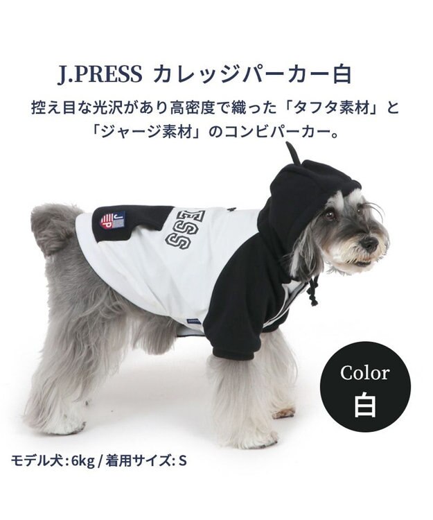 PET PARADISE 犬 服 J.PRESS パーカー  【小型犬】 カレッジ 白 白~オフホワイト