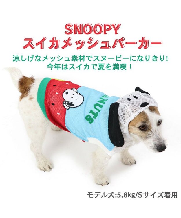 PET PARADISE 犬の服 春夏 スヌーピー スイカ メッシュ パーカー 【小型犬】 水色