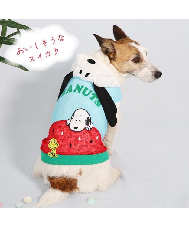 犬服　suu.☆ ジンベイザメメッシュパーカ S/M/L/XL Dulce-ドゥルチェ- 犬服