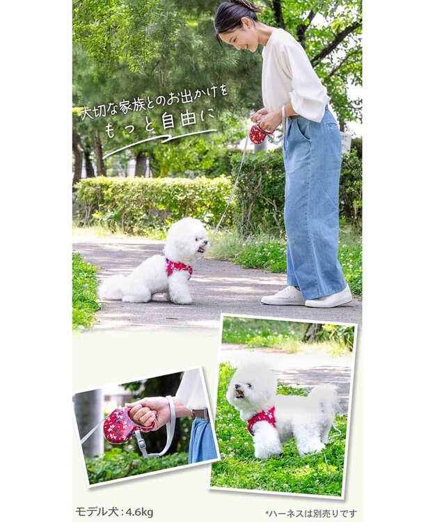 PET PARADISE リサとガスパール 伸縮リード 《パリ柄》 レッド
