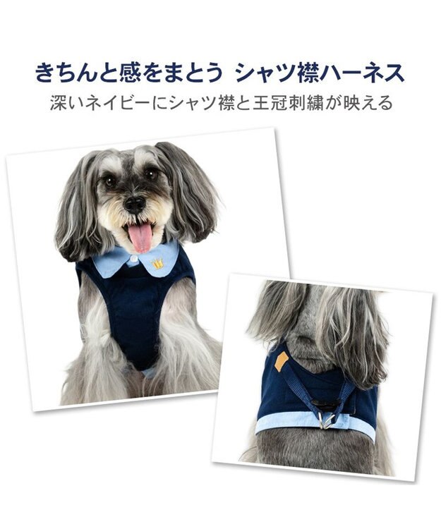 PET PARADISE ペットパラダイス 襟付きベストハーネス ＳＳ ネイビー×ブルー