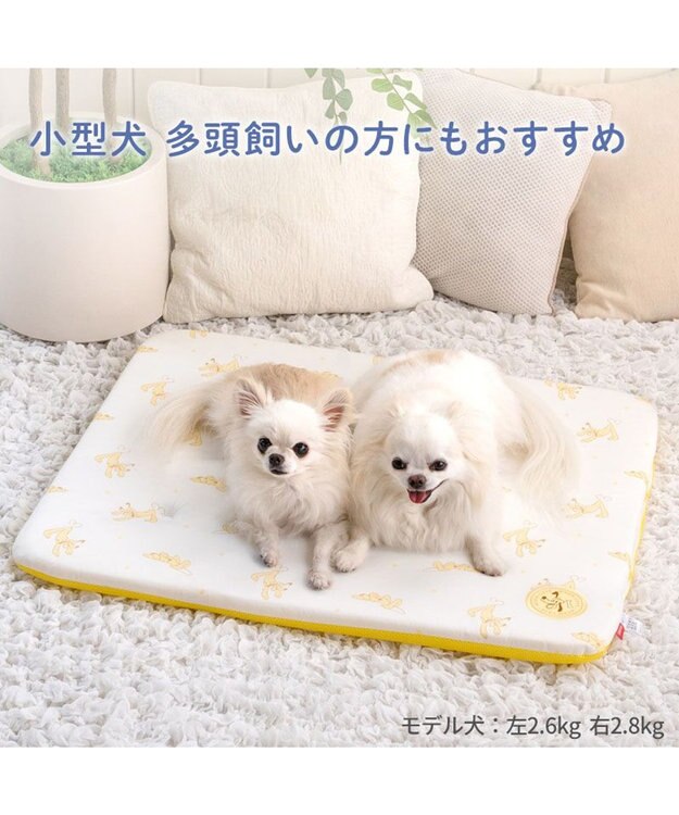 PET PARADISE ディズニー プルート もちっと クールマット ホワイト×イエロー