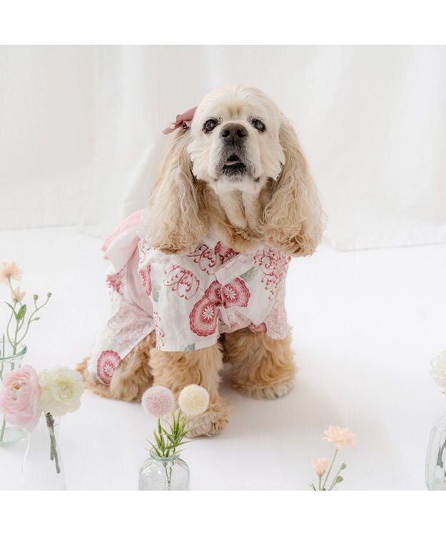 PET PARADISE ペットパラダイス 菊柄 浴衣 桃  中型犬 大型犬 ホワイト×ピンク