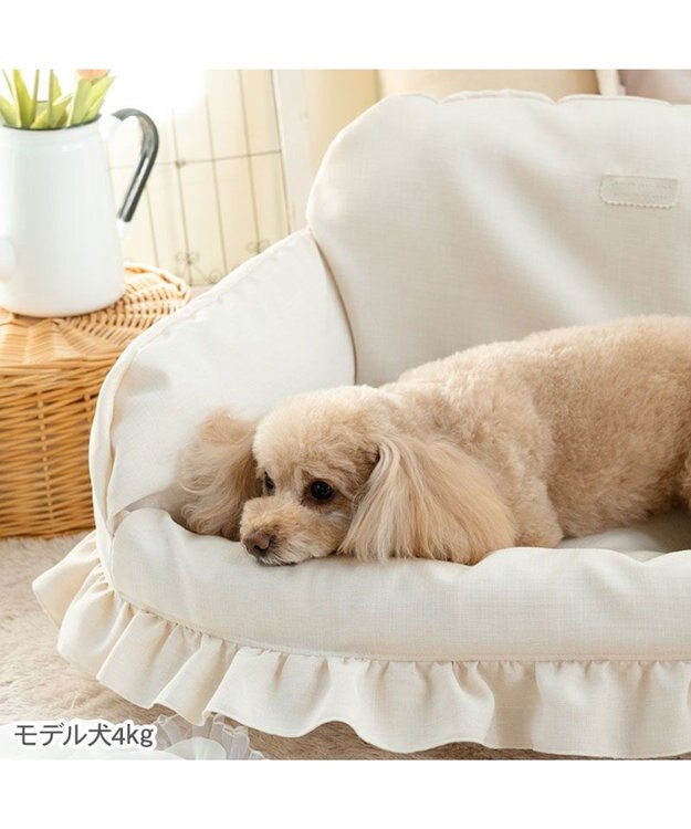 PET PARADISE ペットパラダイス カバー付き ソファー ベッド オフホワイト