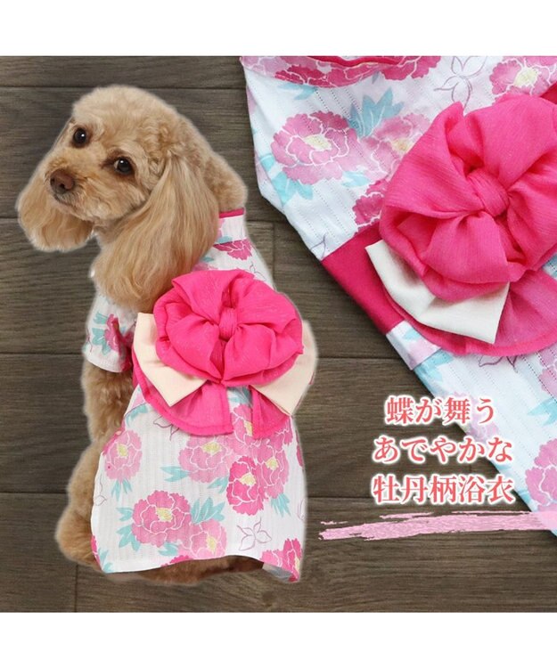 犬の服 夏 犬服 浴衣 牡丹柄 ピンク 【小型犬】 / PET PARADISE