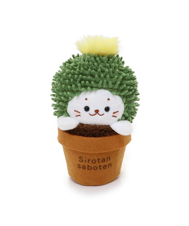 Mother garden しろたん サボテン マスコット 《きんしゃちサボテン》 きんしゃちサボテン