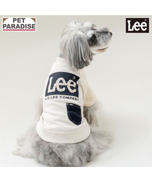 PET PARADISE Lee ボックスロゴ トレーナー ホワイト 小型犬 ホワイト