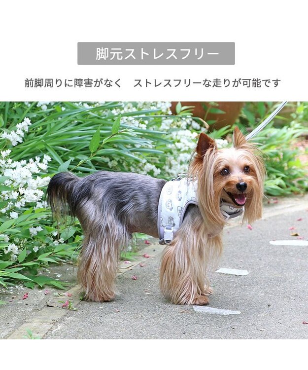 PET PARADISE ディズニー 101匹わんちゃん  保冷剤ポケット付き ハーネス ＳＳ 小型犬 保冷剤付