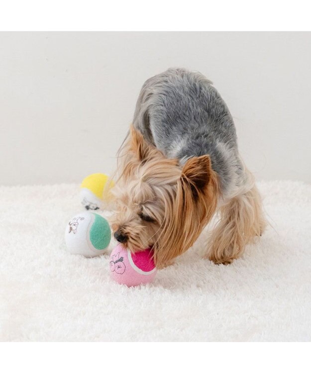 PET PARADISE ペットパラダイス テニスボール トイ ３個セット 0
