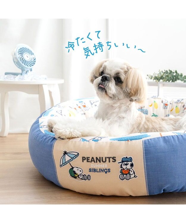 PET PARADISE スヌーピー クール 丸カドラー 《サマーバケーション柄》 Ｌ ホワイト×ブルー