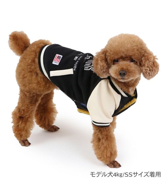 PET PARADISE J.PRESS バイカラー スタジャン  小型犬 黒