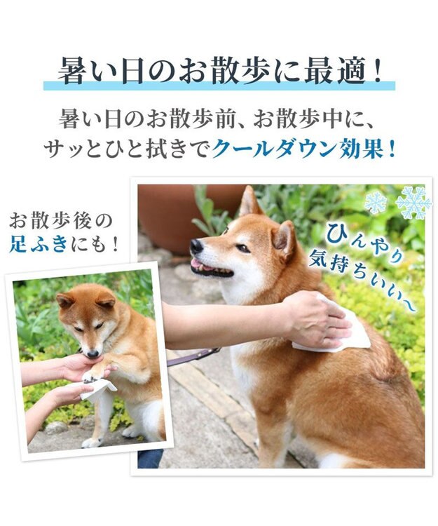PET PARADISE ペットパラダイス クール  ボディタオル 20枚入り -