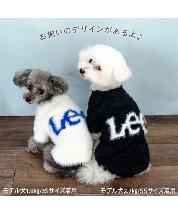 PET PARADISE Lee フェザーニット 《ホワイト》 小型犬 ホワイト