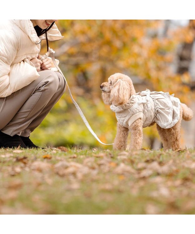 PET PARADISE ペットパラダイス ふりふり アウターハーネス 小型犬 ベージュ