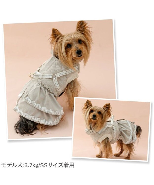 PET PARADISE ペットパラダイス ふりふり アウターハーネス 小型犬 ベージュ