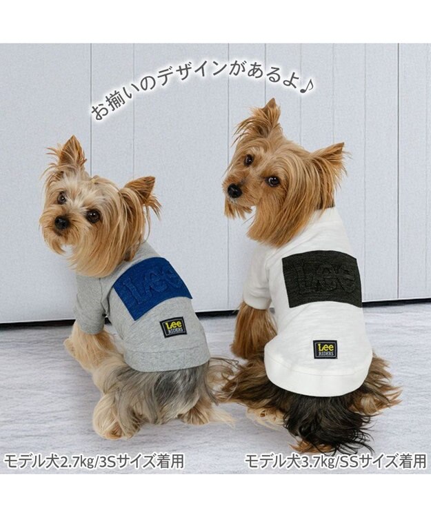 PET PARADISE Lee エンボス ロゴ Ｔシャツ 《ホワイト》 小型犬 ホワイト