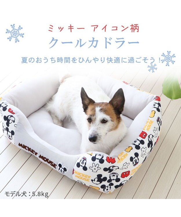 ディズニー ミッキーマウス アイコン柄 四角 クール カドラー
