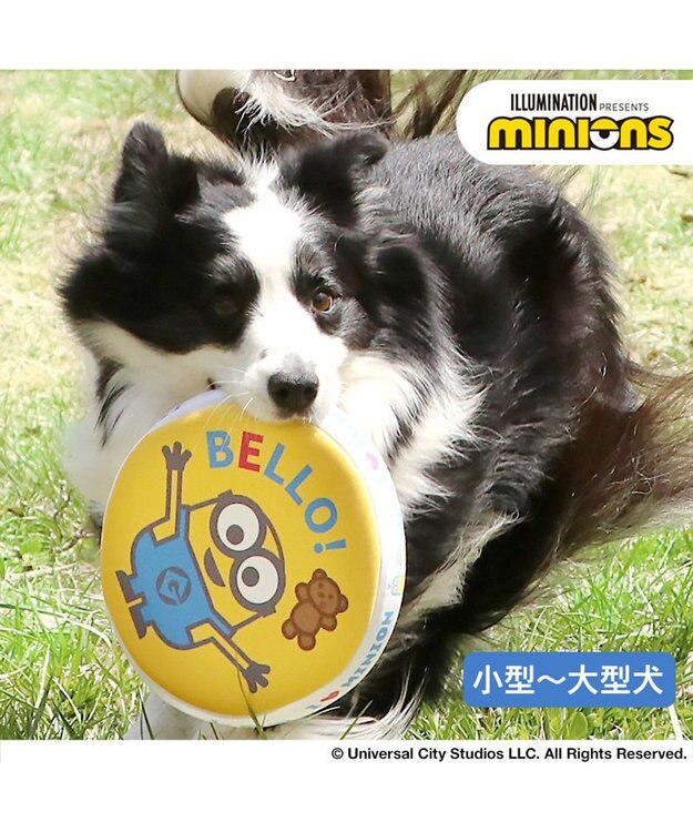 PET PARADISE 犬 おもちゃ ミニオン フライングディスク M (直径22cm) 黄