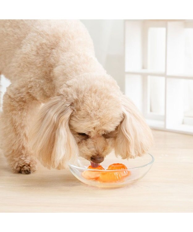 PET PARADISE 5種の野菜＆フルーツゼリー 8個入り 0