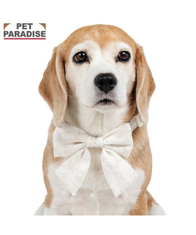 PET PARADISE ペットパラダイス 花柄りぼん 首輪 ＳＭ 中型犬 オフホワイト