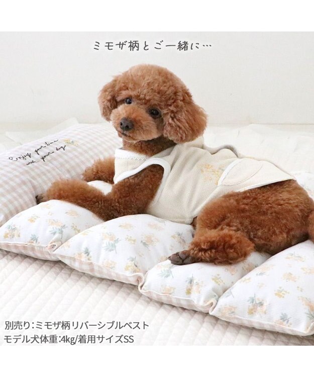 PET PARADISE ペットパラダイス ごろ寝マット 《ミモザ柄》 小型犬 ミモザ