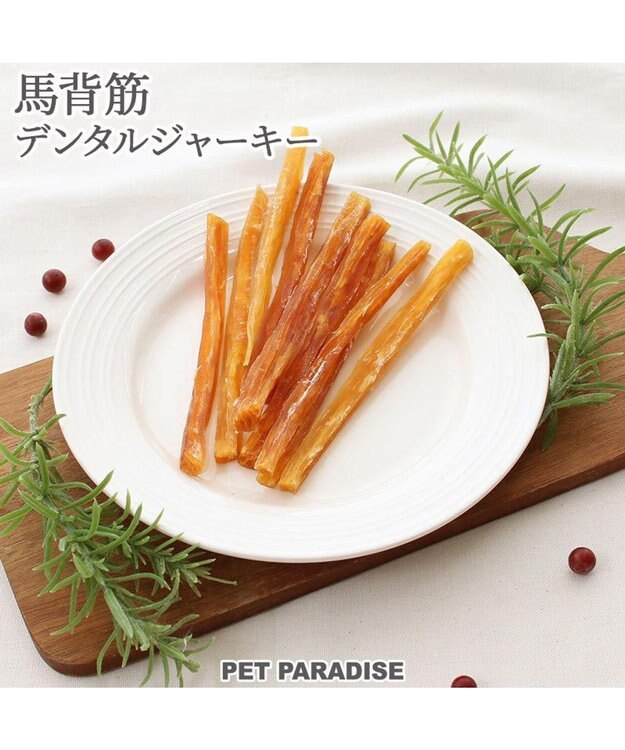 PET PARADISE 馬背筋デンタルジャーキー 40g -