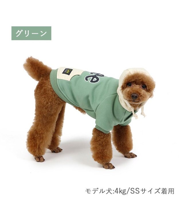PET PARADISE Ｌｅｅ サガラ刺繍 パーカー  《グリーン》 小型犬 グリーン