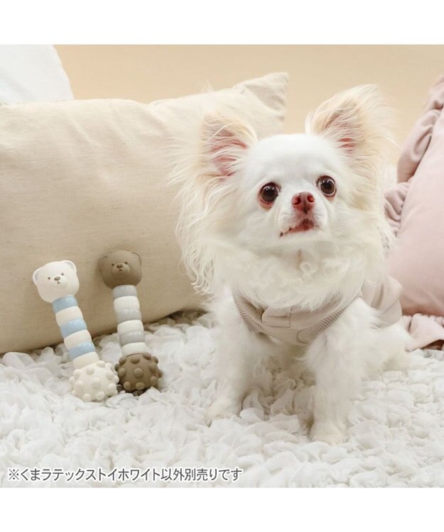 PET PARADISE ペットパラダイス くまちゃん ラテックス トイ 《ホワイト》 ホワイト