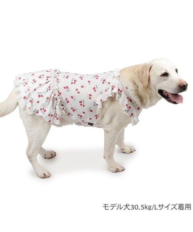 PET PARADISE ペットパラダイス  エコメイド ワンピース 《苺柄》 中型犬 大型犬 ホワイト×レッド