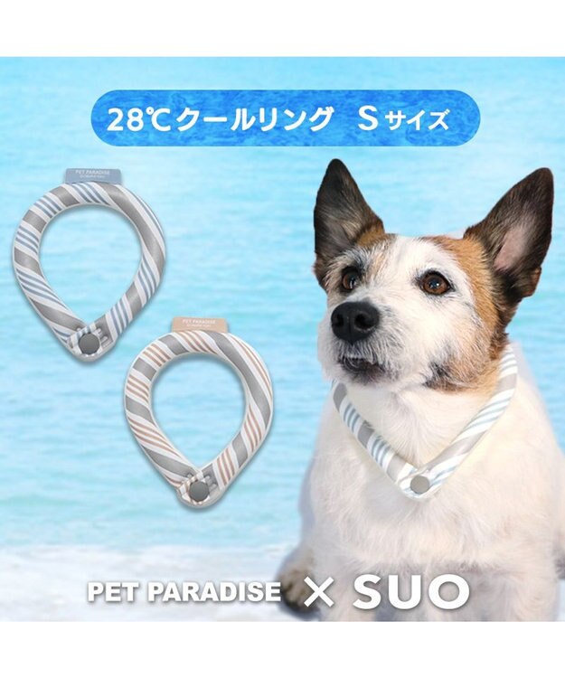 PET PARADISE クールリング 犬 クールネック ひんやり 28℃クールリング 【Ｓ】 リフレクター 水色 ベージュ  反射材付き 水色 Ｓ