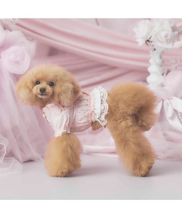 PET PARADISE cherircouture フリルシャツ 《ピンク》 小型犬 ピンク