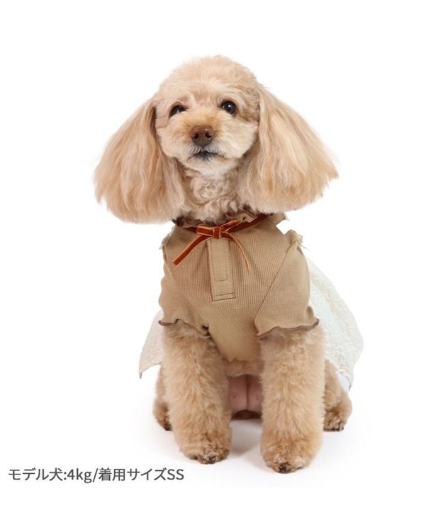 ディズニーわんわん物語レディ小型犬用散歩用首輪 Disney - ラスト1つ！ディズニー レディ 小型犬用 首輪の通販 by