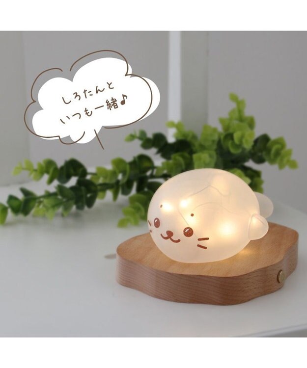 Mother garden しろたん フロストグラスライト 0