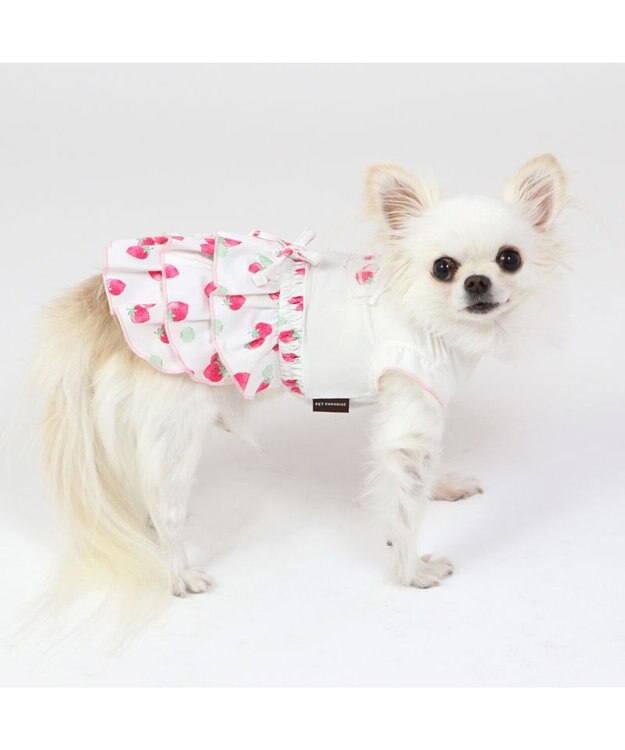 PET PARADISE 犬の服 春夏 ひんやり クール 接触冷感 虫除け 苺 ワンピース 【小型犬】クールマックスエコメイド 白~オフホワイト