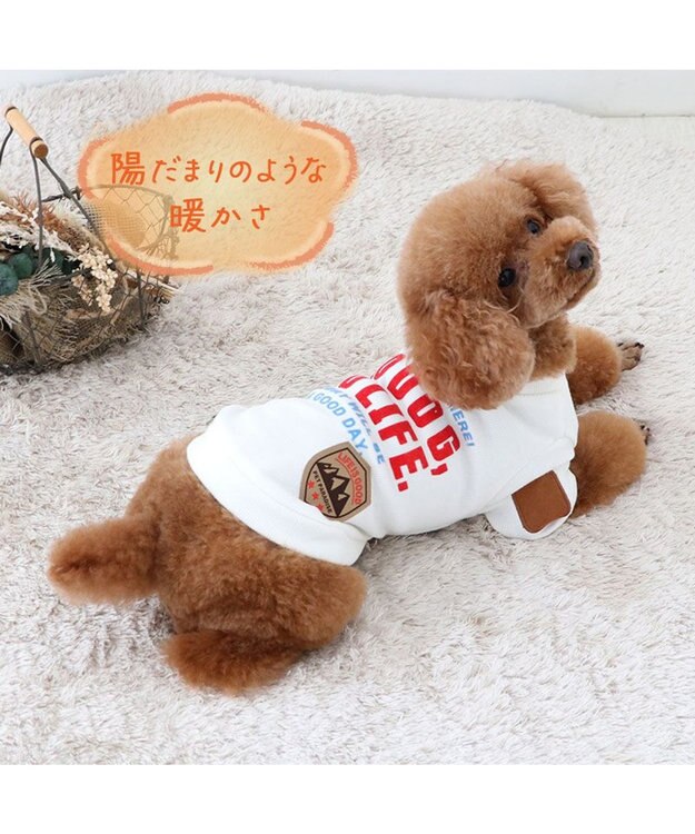 PET PARADISE ペットパラダイス  ペティヒート プレミアム トレーナー 《ホワイト》 小型犬 ホワイト