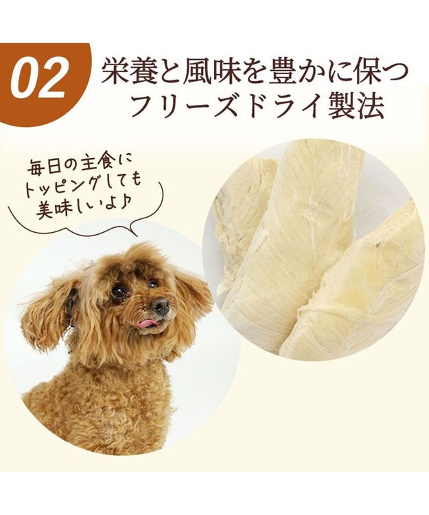 PET PARADISE 鶏ささみフリーズドライ 大袋 55g 国産 -