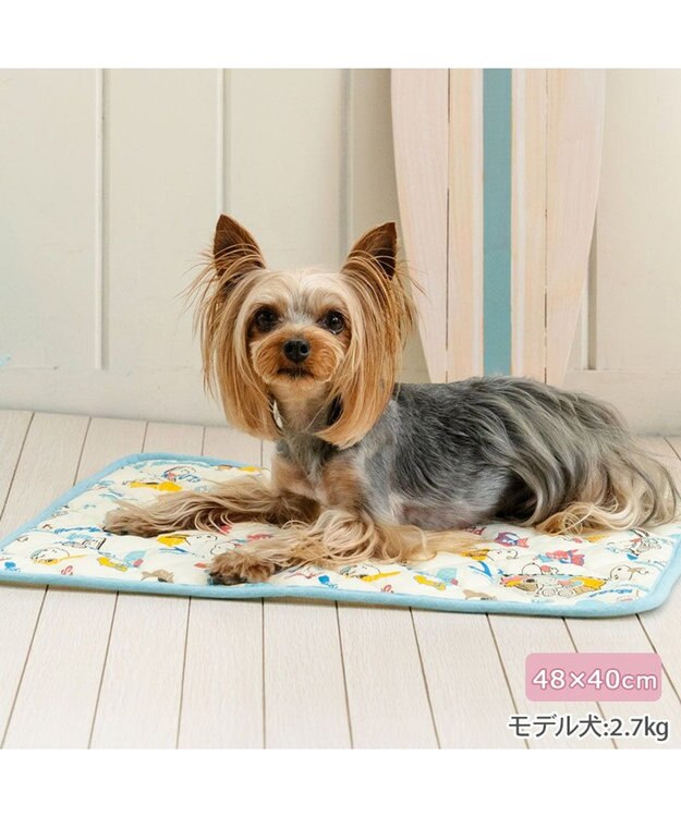 PET PARADISE スヌーピー 冷感柔らかマット 《アイス柄》 S ホワイト×ブルー