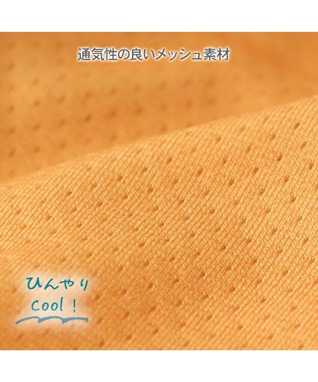 PET PARADISE J.PRESS エコメイド ロゴ タンクトップ 《オレンジ》 小型犬 オレンジ