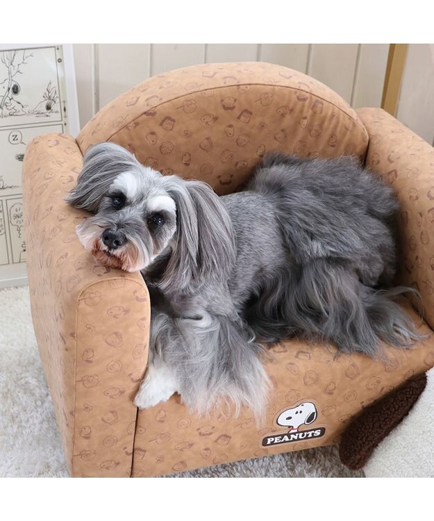 PET PARADISE スヌーピー ソファ 顔クッション付き 小型犬 ベージュ